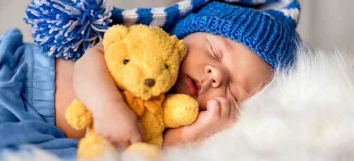 1.peluche